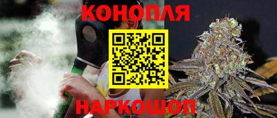 гидропоника Бийск