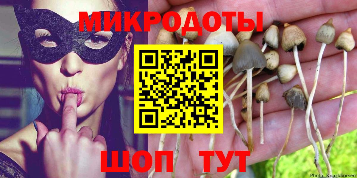 Псилоцибиновые грибы прущие грибы Артёмовский